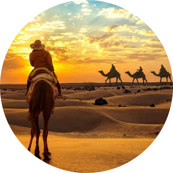 Desert Delight Tour
