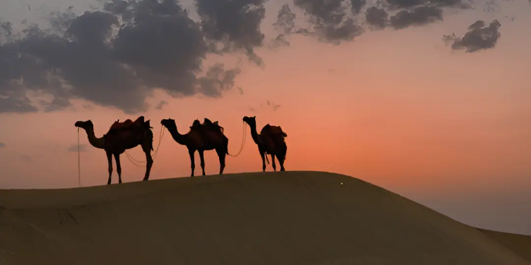 Royal Rajasthan Tour Package